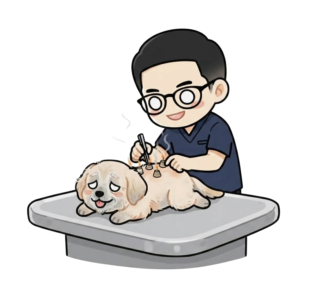 相模原　中医療　東洋医学　犬　猫