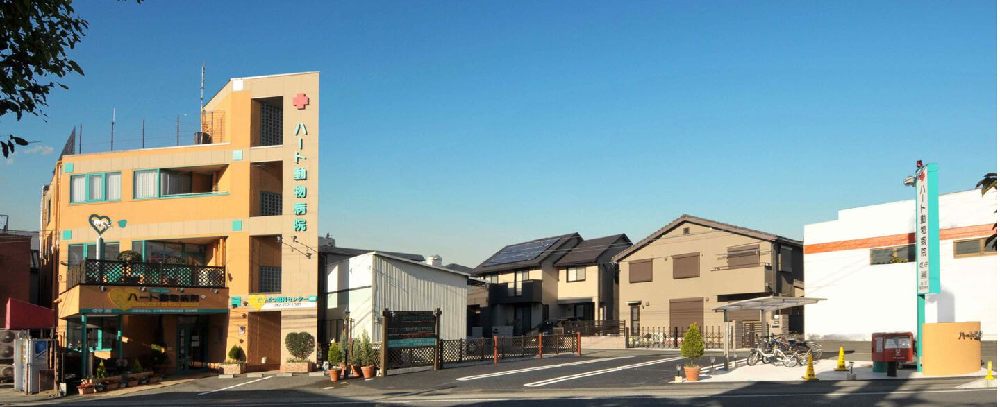 相模原　人気　動物病院