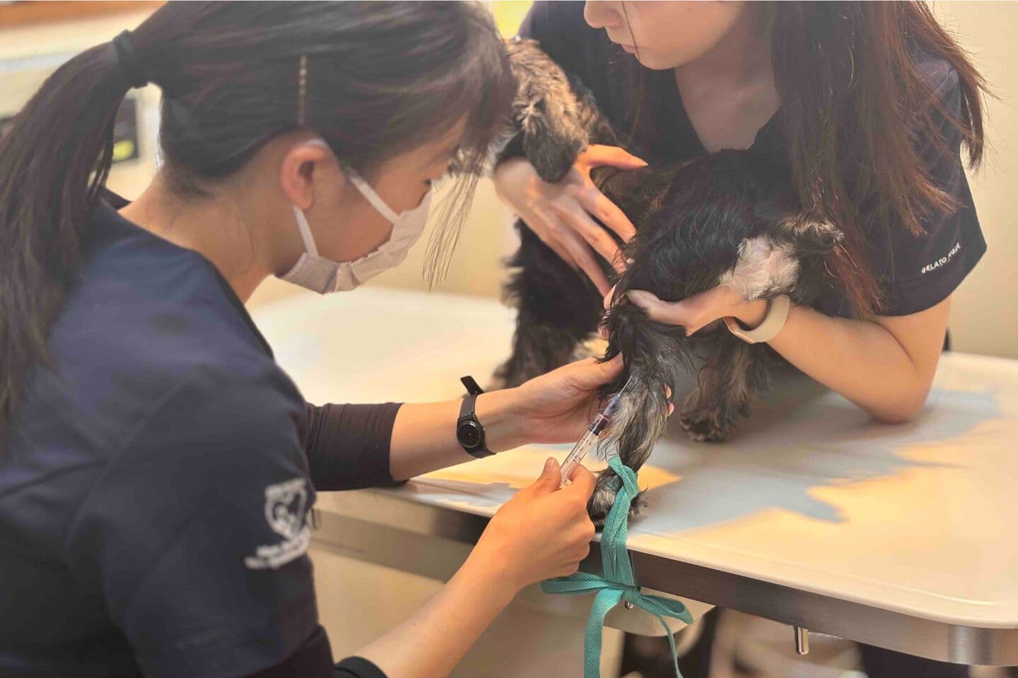 おすすめ　動物病院　神奈川