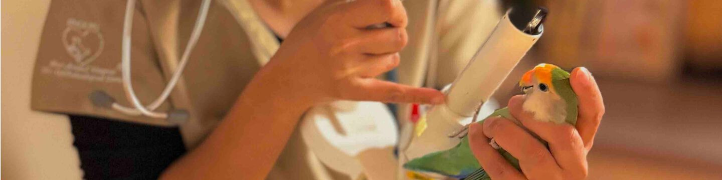 エキゾチック　神奈川