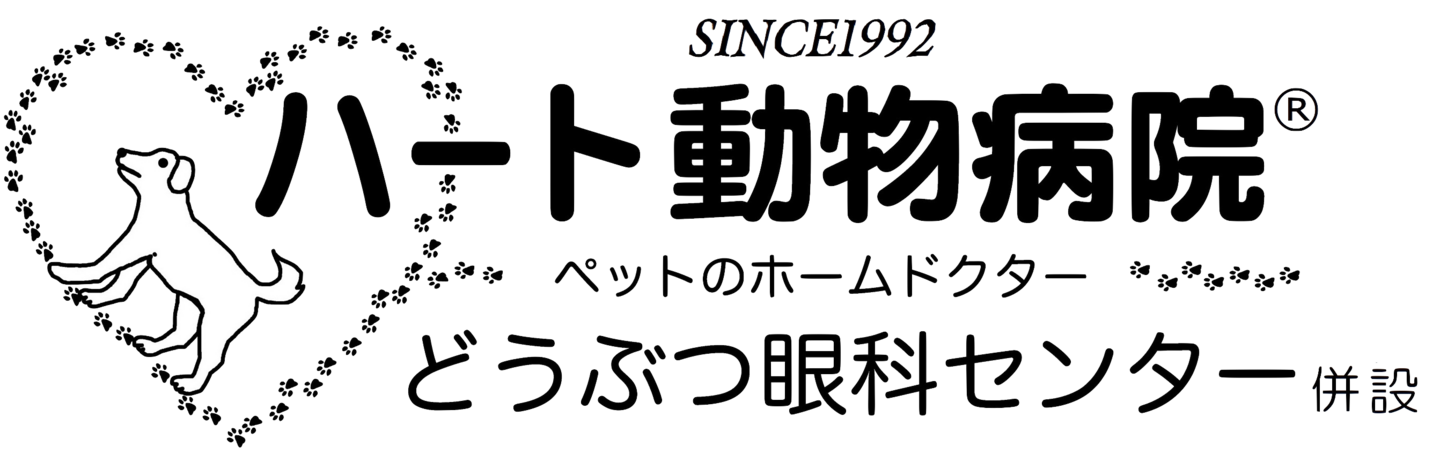 ハート動物病院　ブログ