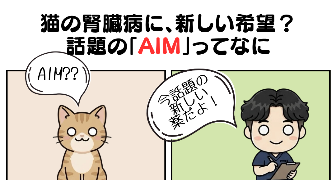猫　慢性腎臓病　AIM