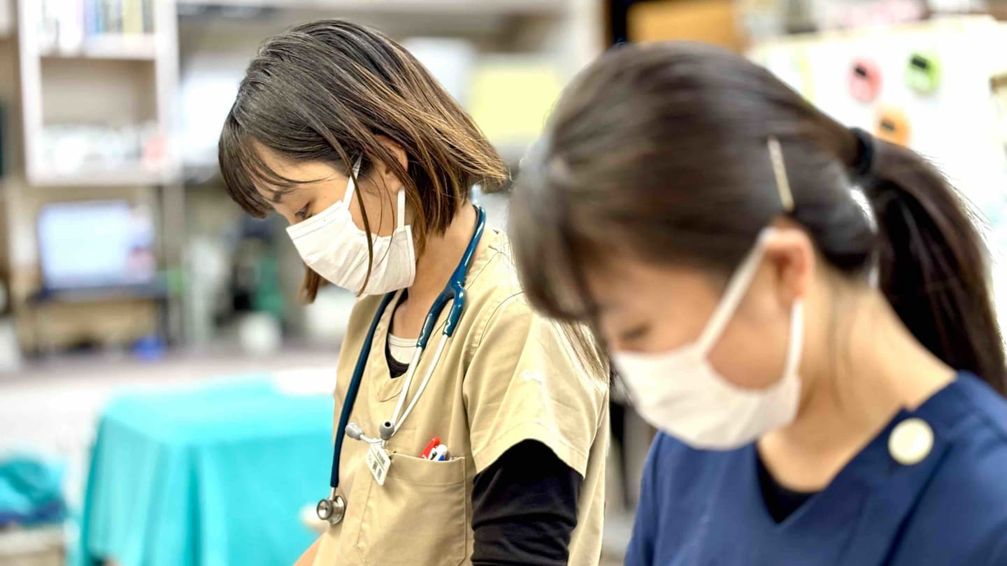 動物病院　実習