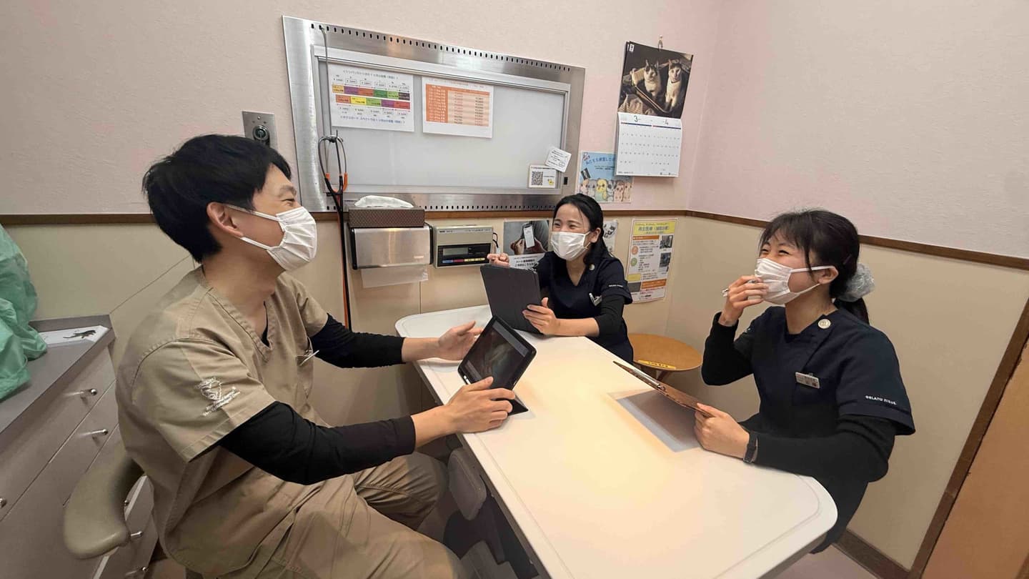 動物病院　教育